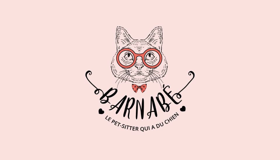 Barnabé le pet-sitter