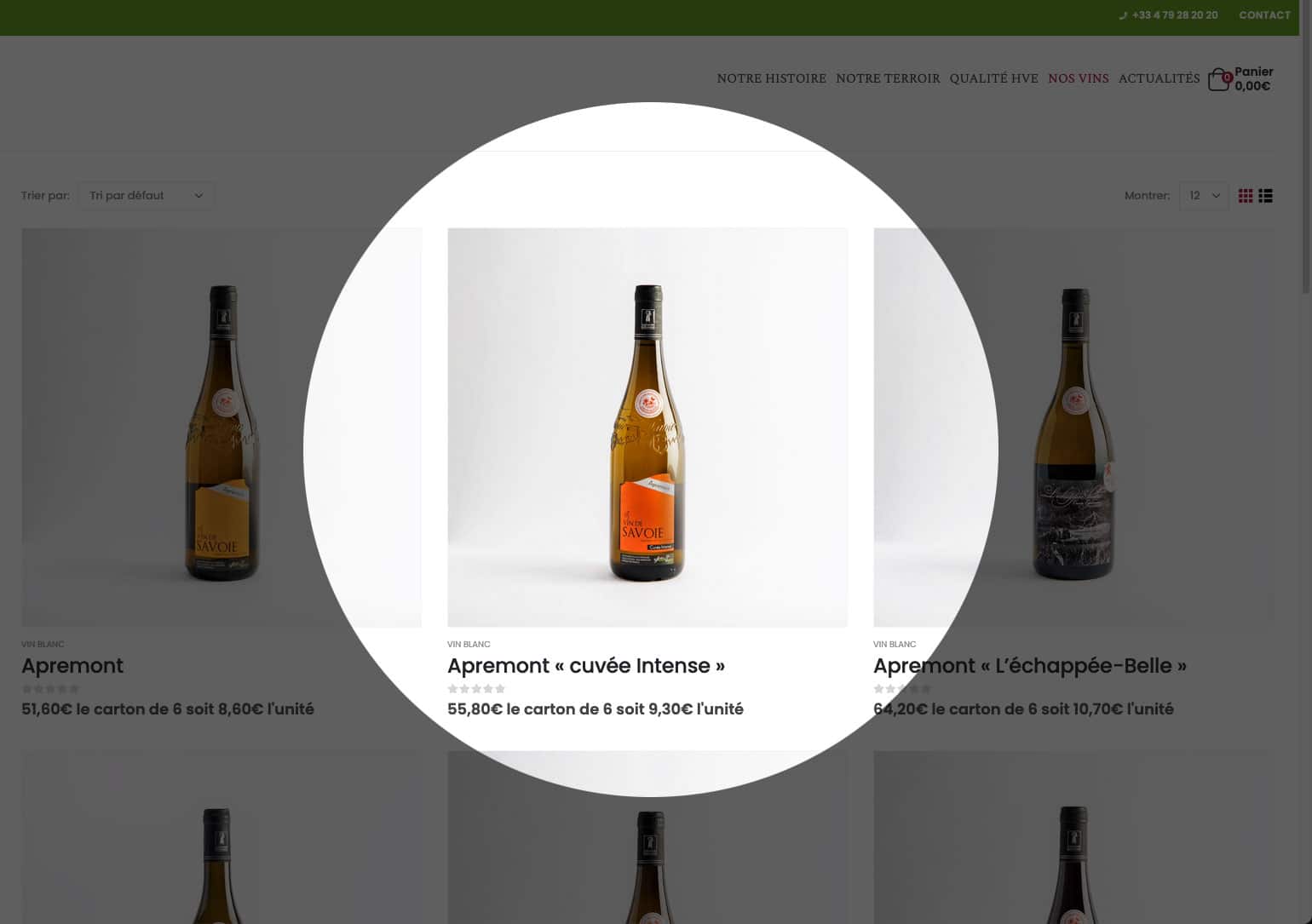 creation boutique en ligne savoie
