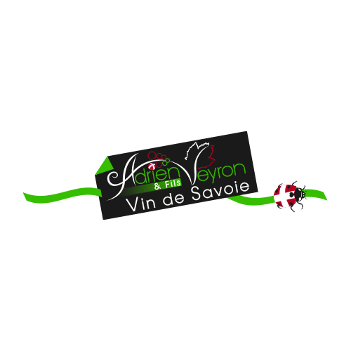 creation de logo identite graphique chambery savoie